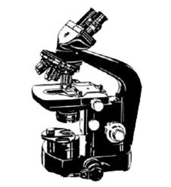 konventionelle Mikroskope