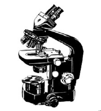 Conventional Microscopes