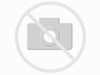other Wild Heerbrugg information